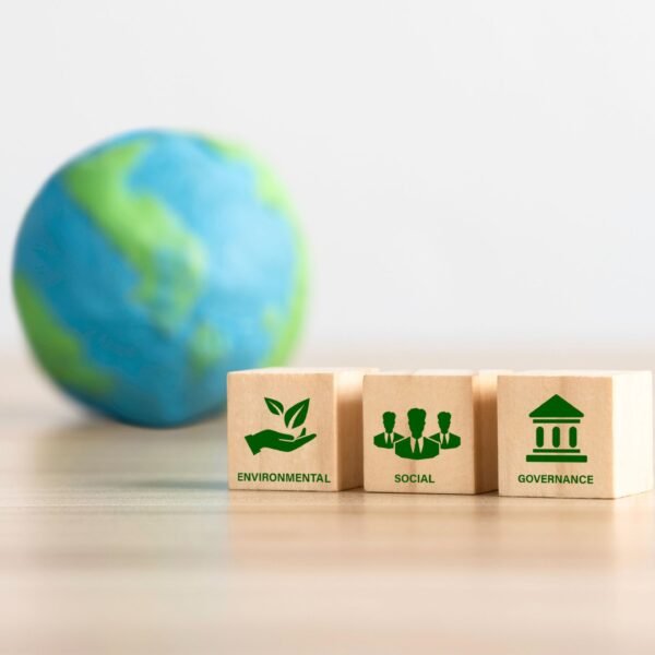 Sustainability in Quick Commerce: Can Fast Deliveries Be Eco-Friendly?